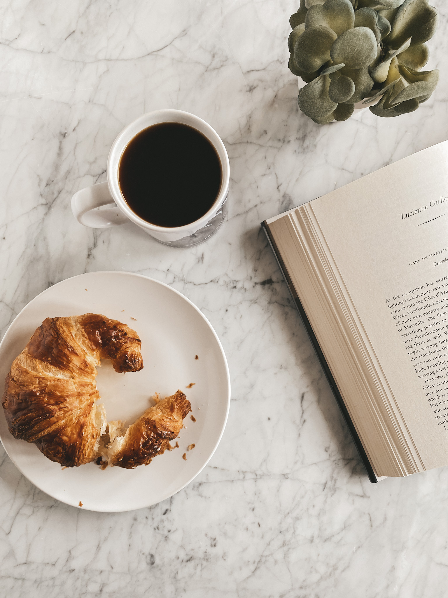 a croissant on a white plate, a mug of black coffee, a succulent and on open book