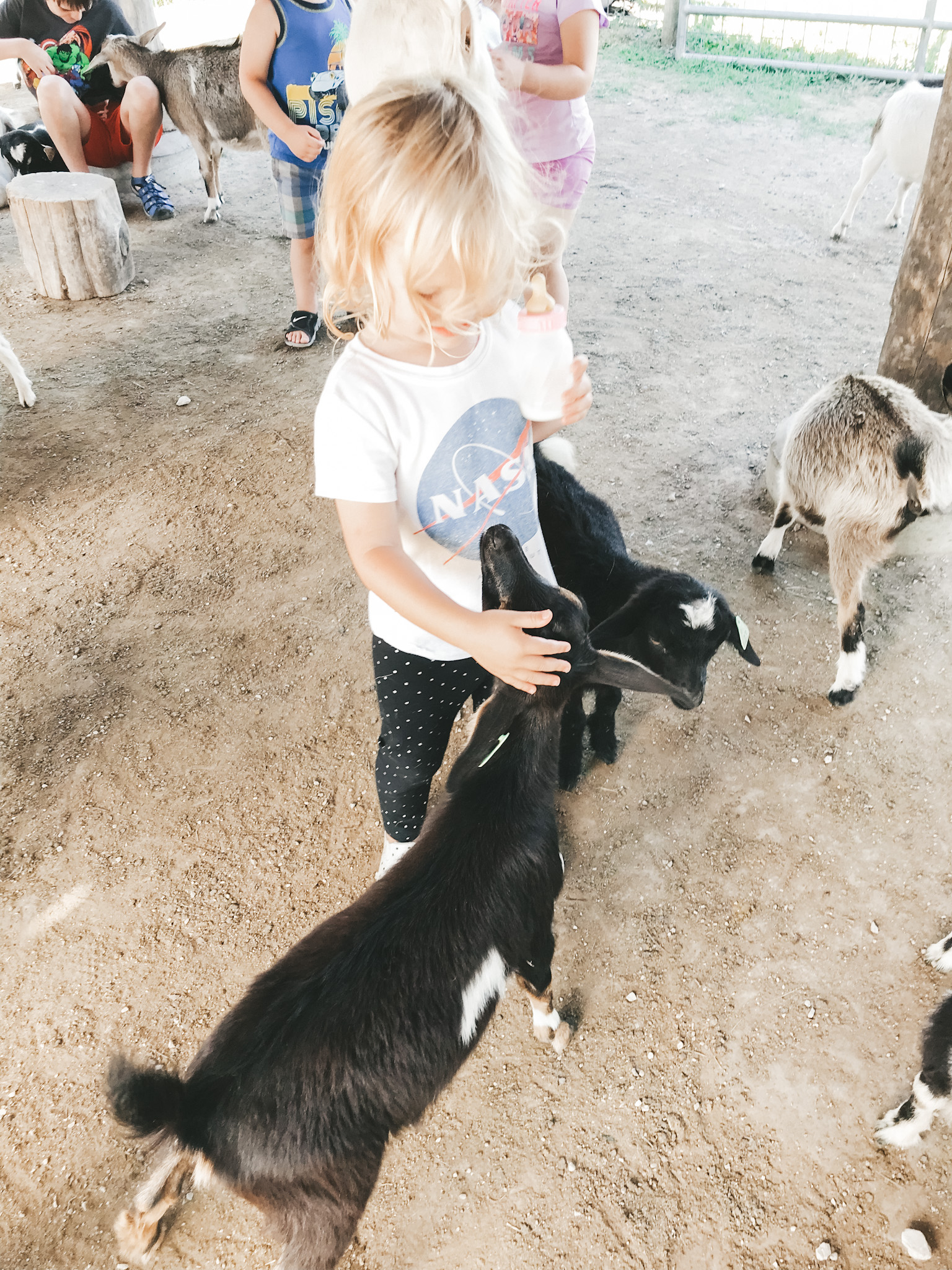 a little girl bottle feeding a goat at Deanna Rose Children