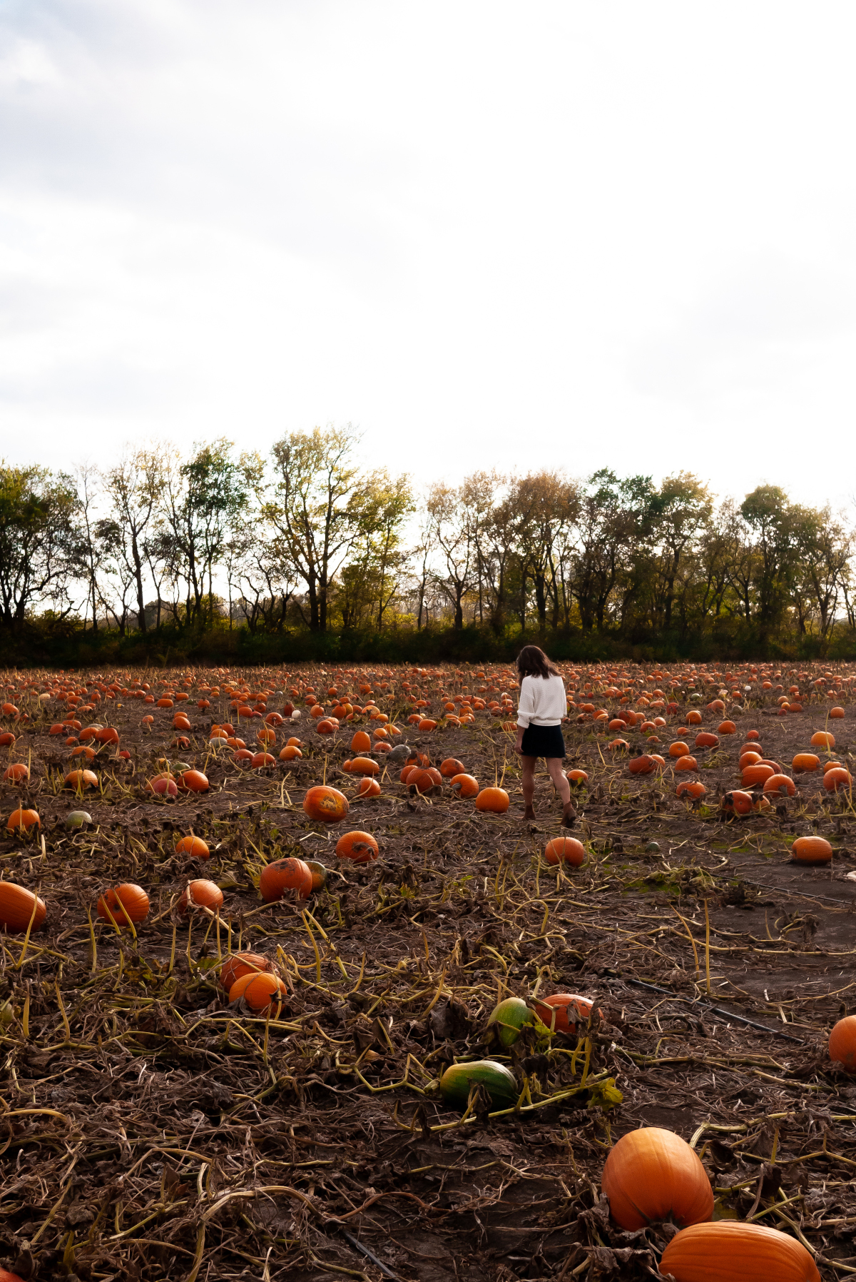 ashley walking through a pumpkin patch