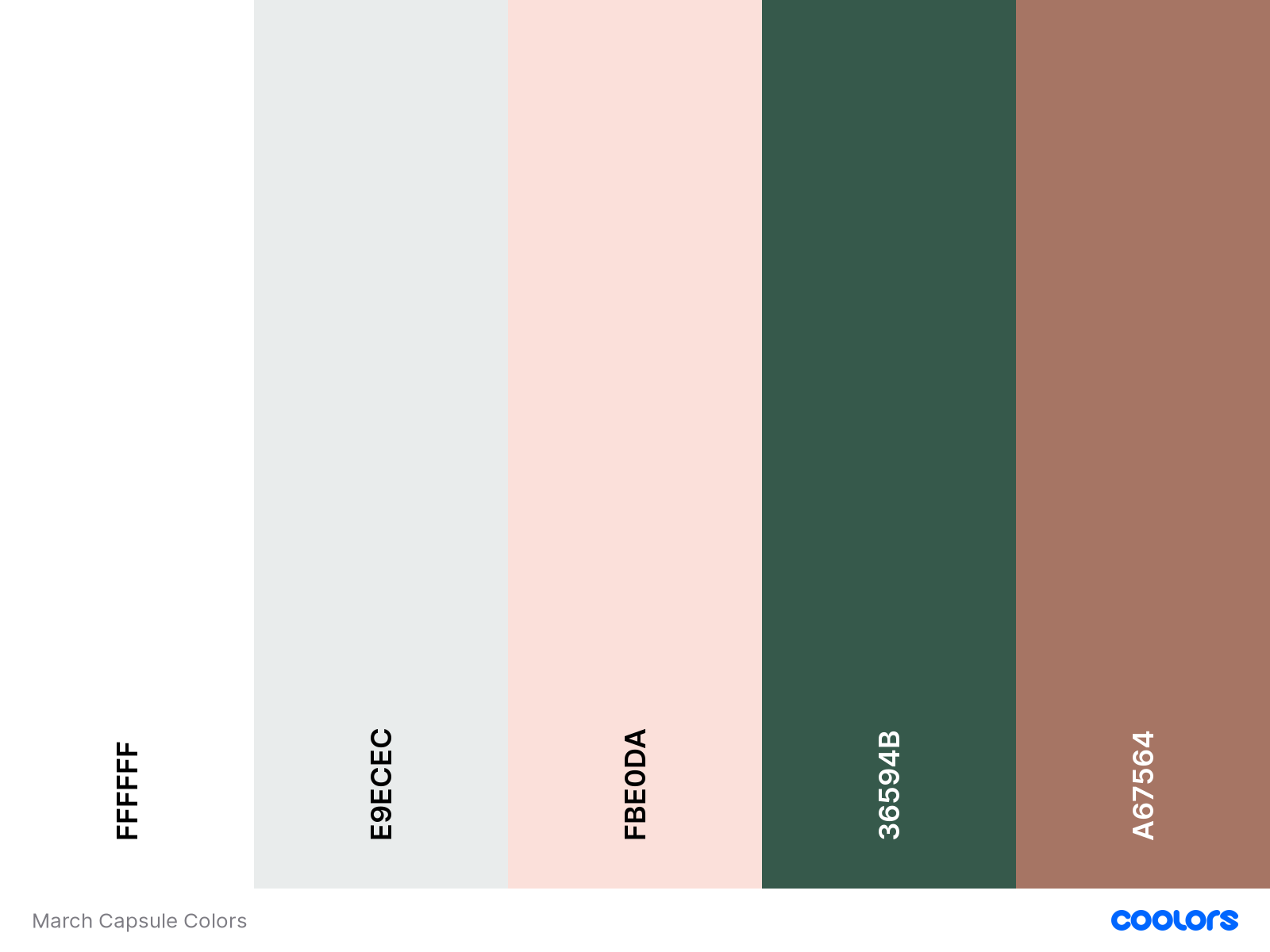 color palette with white, light gray, blush, forest green, and taupe